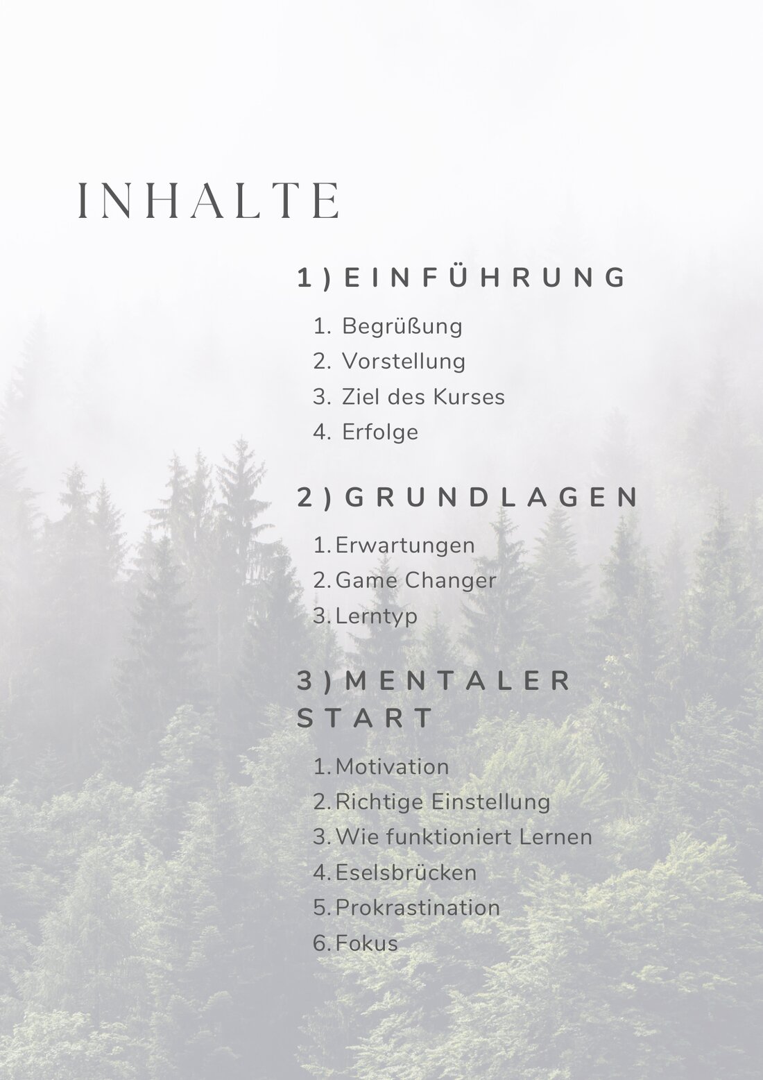 Inhaltsverzeichnis des Workbooks mit Einführung, Grundlagen und mentalem Start